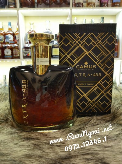 Rượu Camus Extra 48.8